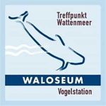 Waloseum